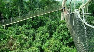  Kakum National Park Ghana