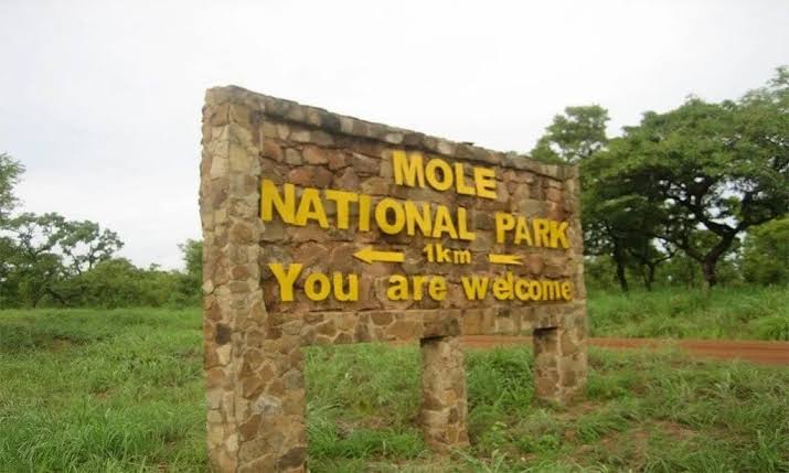 Mole National Park Ghana