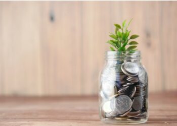 Investment Strategies Suitable for Beginners